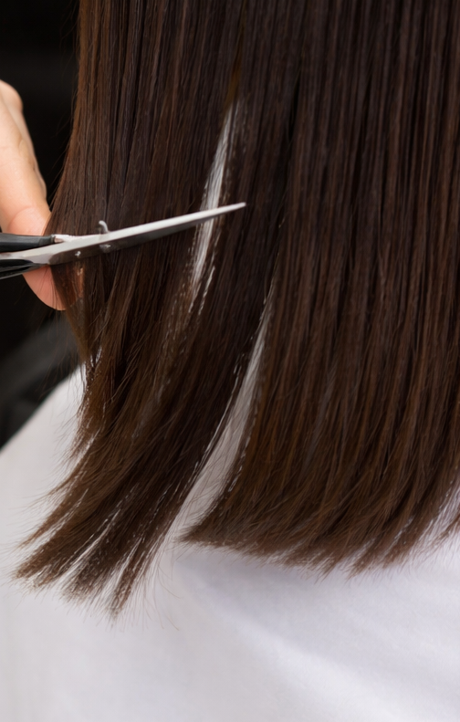 Cabello y peinados